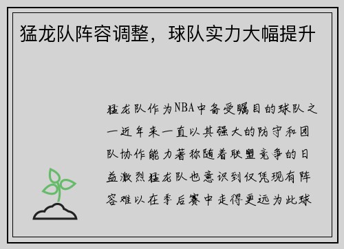 猛龙队阵容调整，球队实力大幅提升