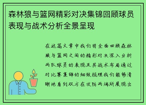 森林狼与篮网精彩对决集锦回顾球员表现与战术分析全景呈现