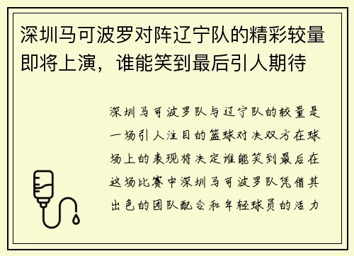 深圳马可波罗对阵辽宁队的精彩较量即将上演，谁能笑到最后引人期待