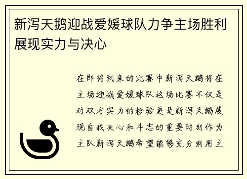 新泻天鹅迎战爱媛球队力争主场胜利展现实力与决心