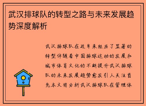 武汉排球队的转型之路与未来发展趋势深度解析